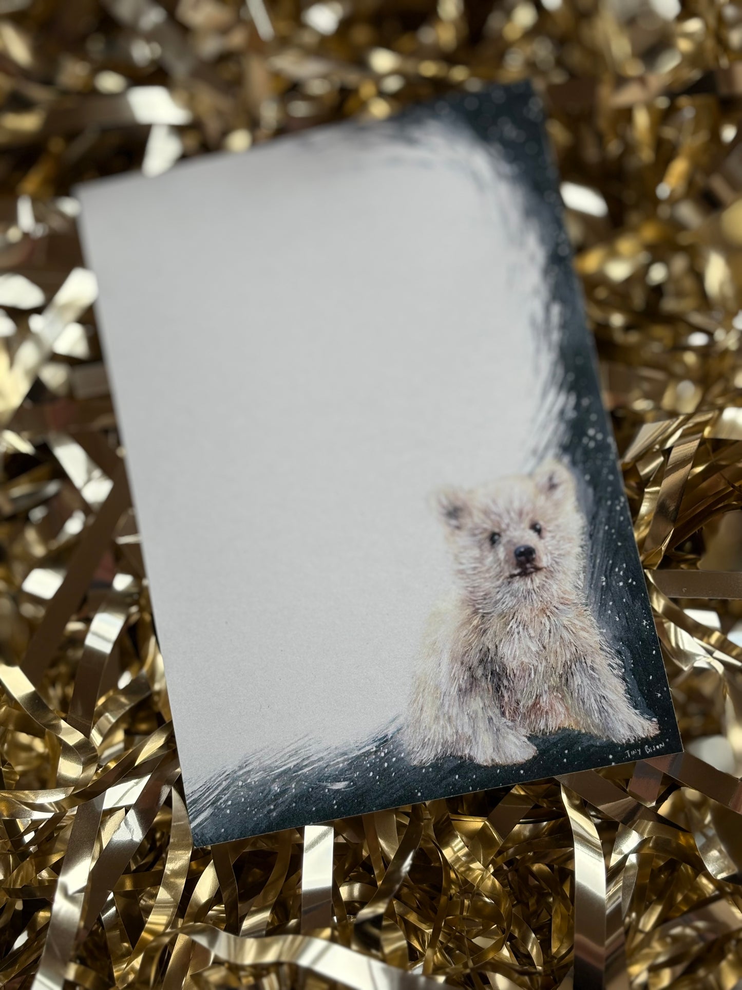 Urso The Spirit Bear Postcard