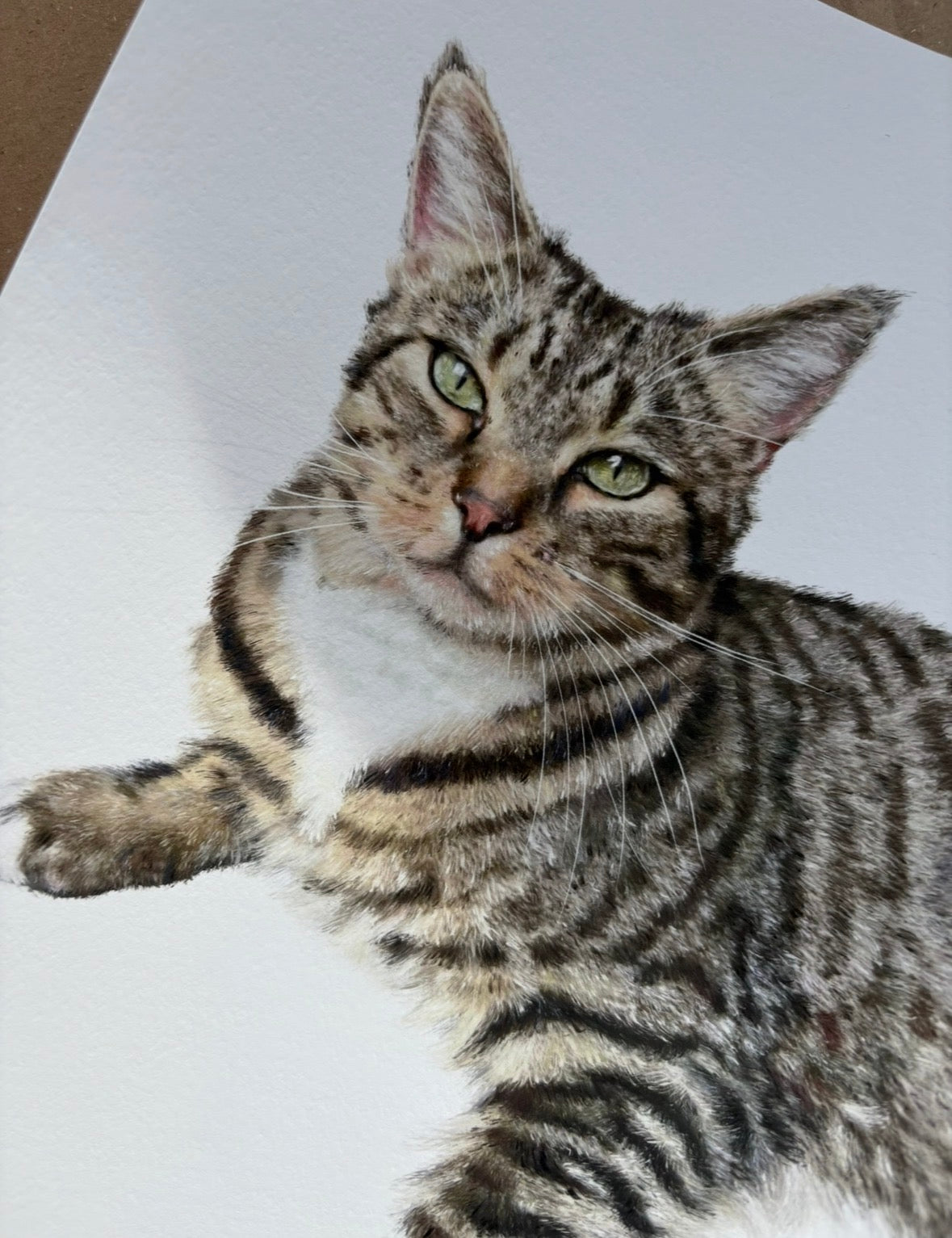 A digitally illustrated portrait of a Cat lying on a white surface with a neutral background and printed on white card