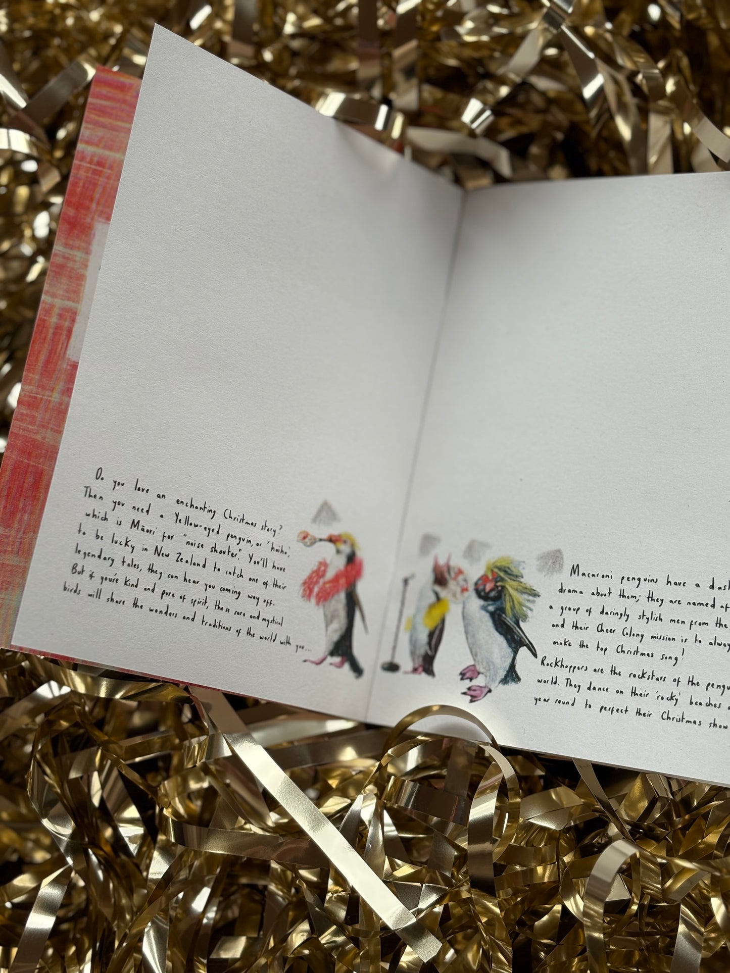 Colony of Cheer Zine