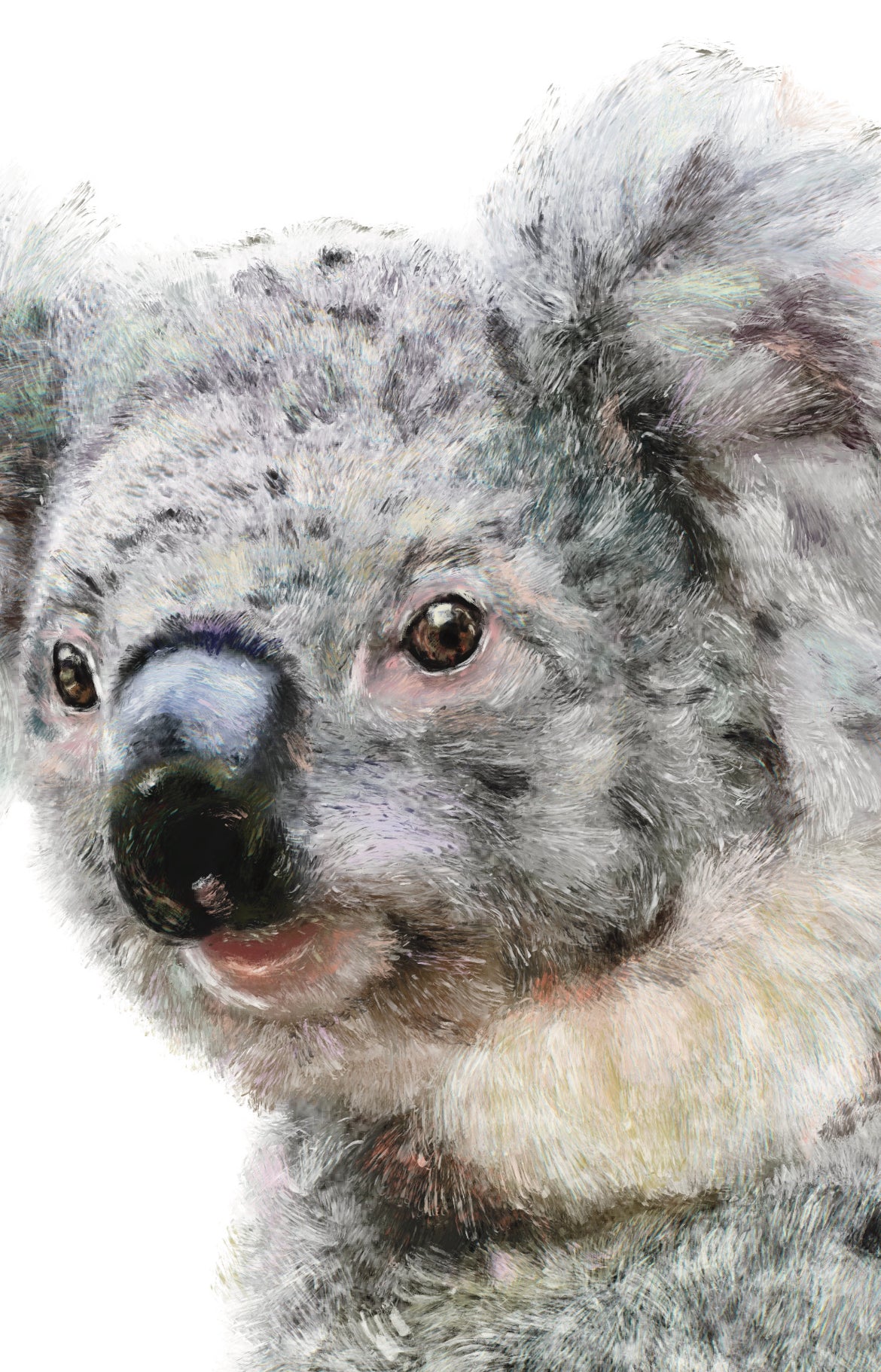 Kami the Koala Print