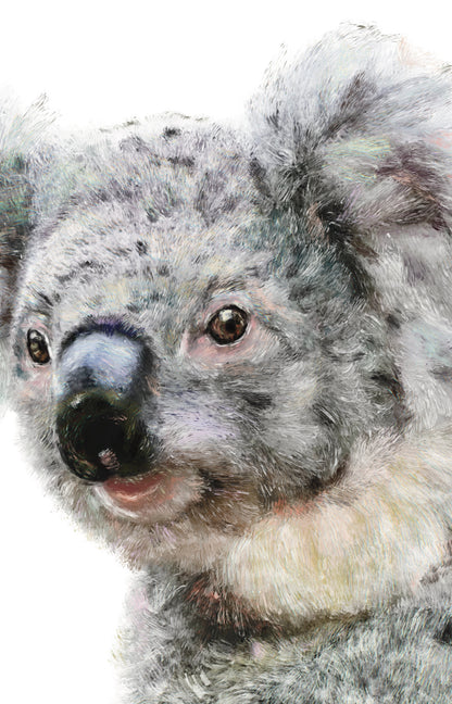 Kami the Koala Print