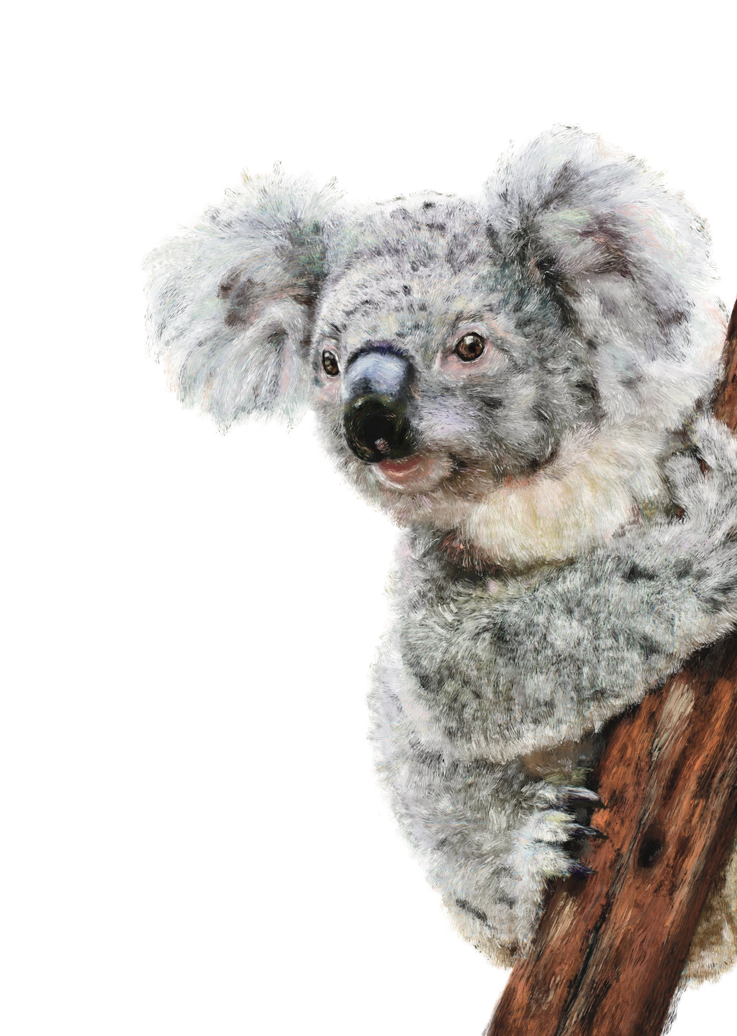 Kami the Koala Print