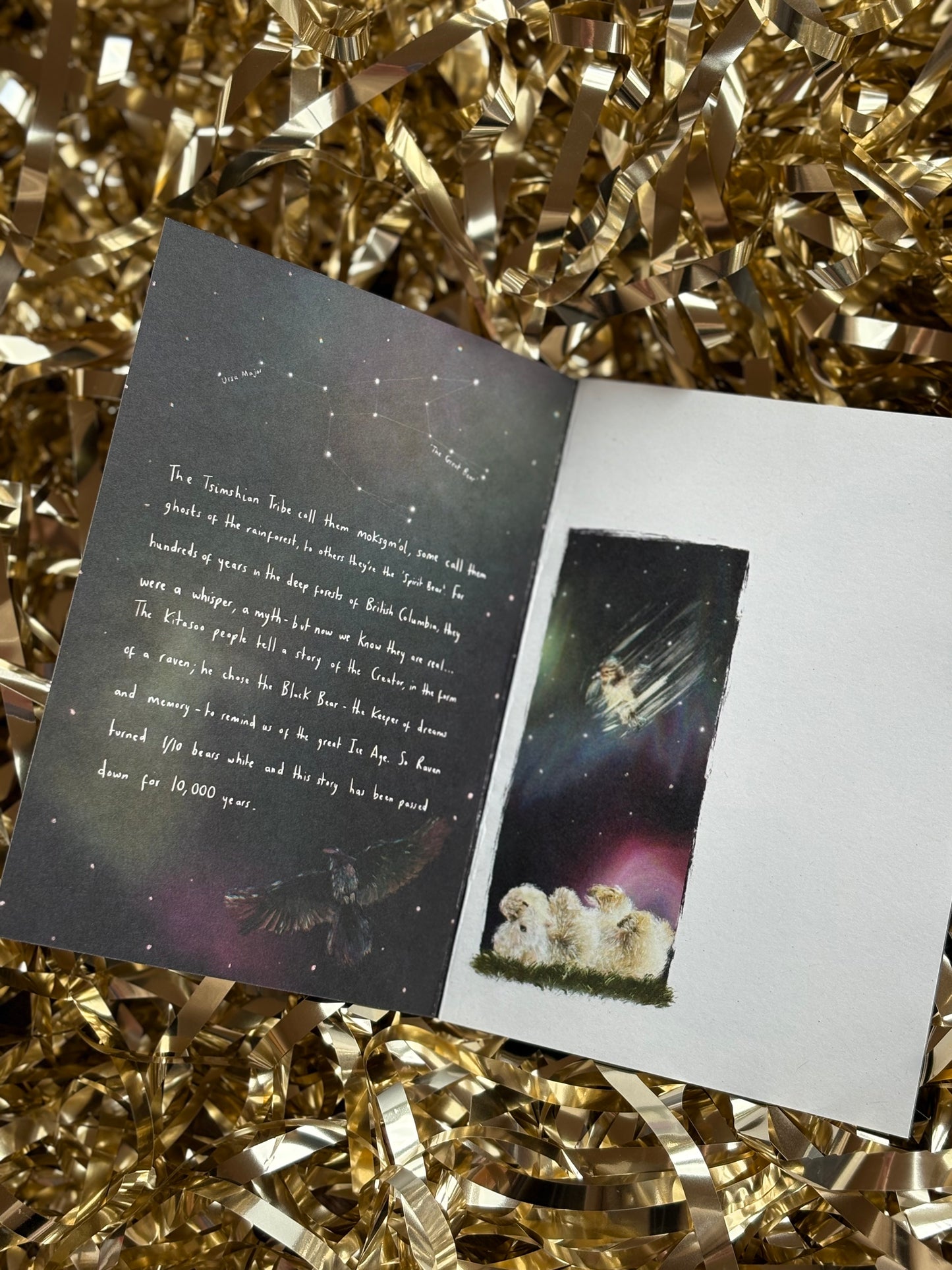 Urso The Spirit Bear Mini Zine