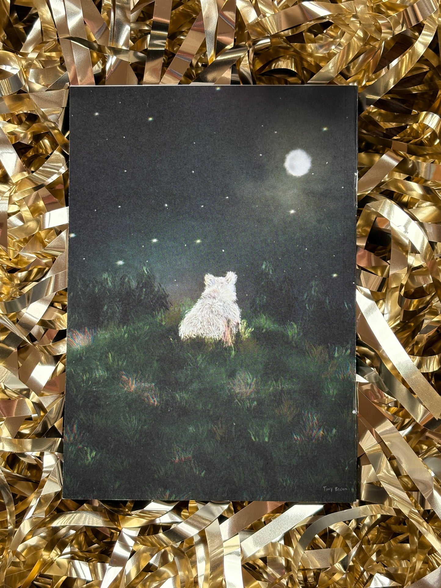 Urso The Spirit Bear Mini Zine