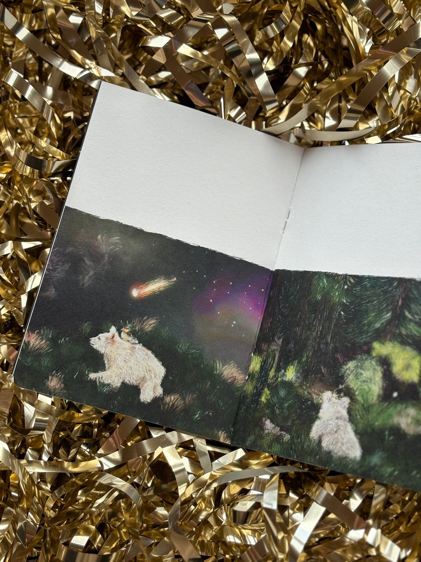 Urso The Spirit Bear Mini Zine