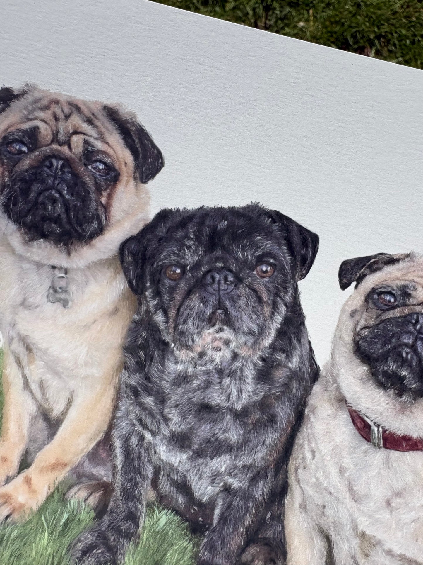 An illustration of three pugs sitting together on a grassy surface
