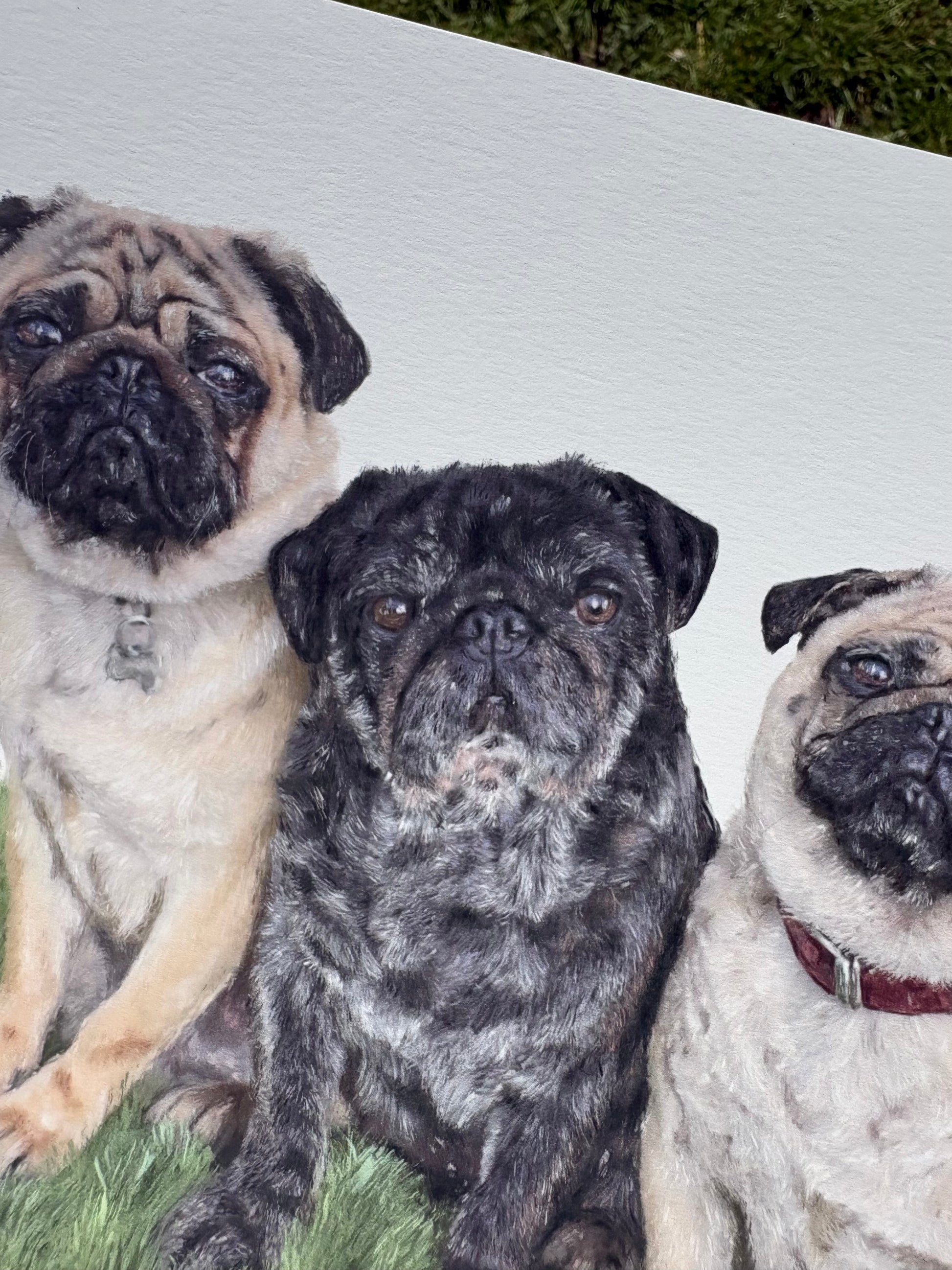 An illustration of three pugs sitting together on a grassy surface